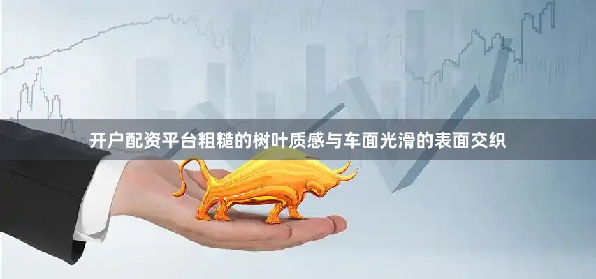 开户配资平台粗糙的树叶质感与车面光滑的表面交织