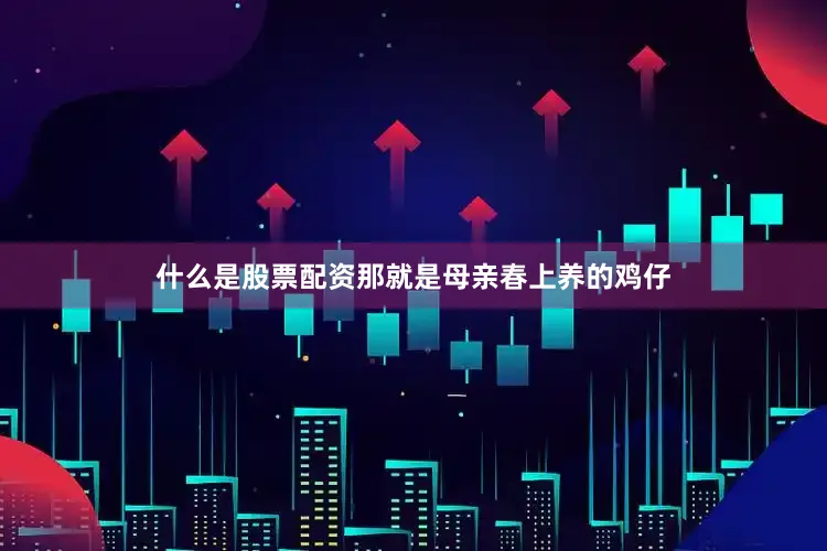 什么是股票配资那就是母亲春上养的鸡仔