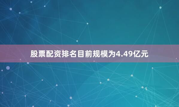 股票配资排名目前规模为4.49亿元